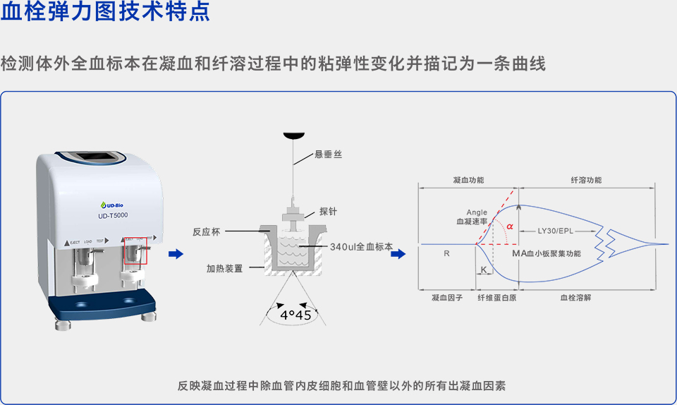 T5000彩页960XP.jpg